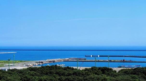 ひたち海浜公園・丘からの眺め・鹿島灘&森 ひたち海浜公園・丘からの眺め・鹿島灘&森 初秋,国営ひたち海浜公園,ひたちなか市の写真素材