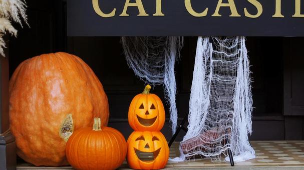 ハロウィン-253 ハロウィン-253 ハロウィン,ジャックオーランタン,かぼちゃの写真素材