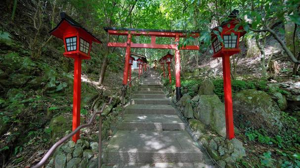 南蔵院鳥居 南蔵院鳥居の写真
