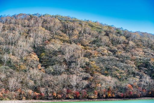 赤城小沼の晩秋 風景,青空,晴れの写真素材