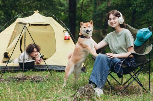 テント前の芝生で犬と遊ぶ男性と女性 女性,外国人,犬の写真素材