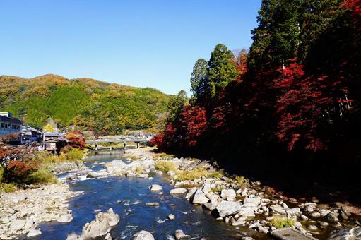 川に映る紅葉の絶景 川に映る紅葉の絶景 香嵐渓,もみじ,紅葉の写真素材