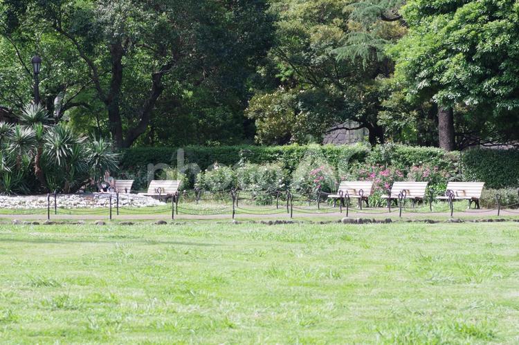 日比谷公園の風景 日比谷公園,広場,芝生の写真素材