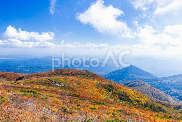 秋色に染まる　栗駒山の絶景 山,秋,紅葉の写真素材