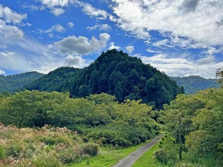 山へと続く道 山へと続く道の写真