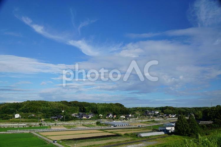 田舎の風景 夏,夏空,風景の写真素材