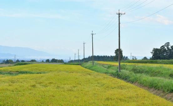 田園風景 田園風景 田んぼ,田園風景,景色の写真素材
