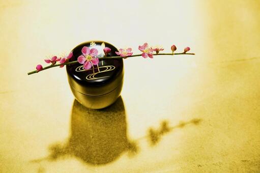梅の花28 梅の花,なつめ,茶筅の写真素材