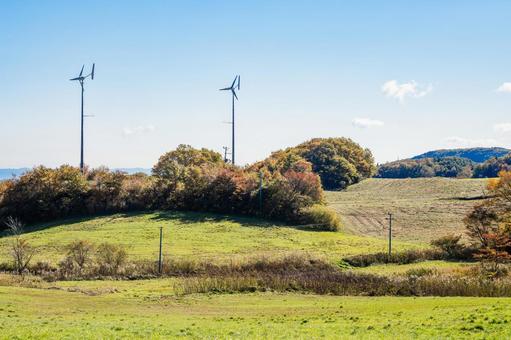 秋の蔵王高原⑶ 蔵王,秋,高原の写真素材