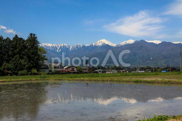 信州の春 自然,風景,季節の写真素材