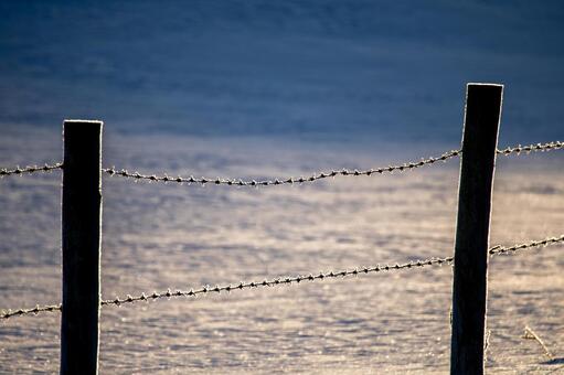厳寒の朝、霜に覆われた牧場の柵 静寂の朝,柵,朝の光の写真素材