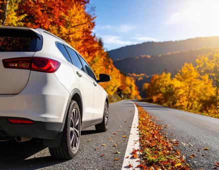 紅葉の中、山道を走る車 紅葉の中、山道を走る車の写真