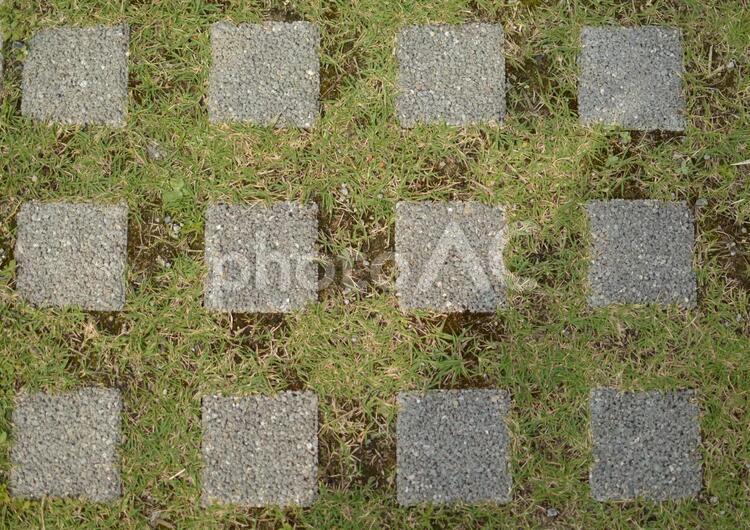 テクスチャ　正方形の石が並んだ芝生の地面 テクスチャ,地面,正方形の写真素材