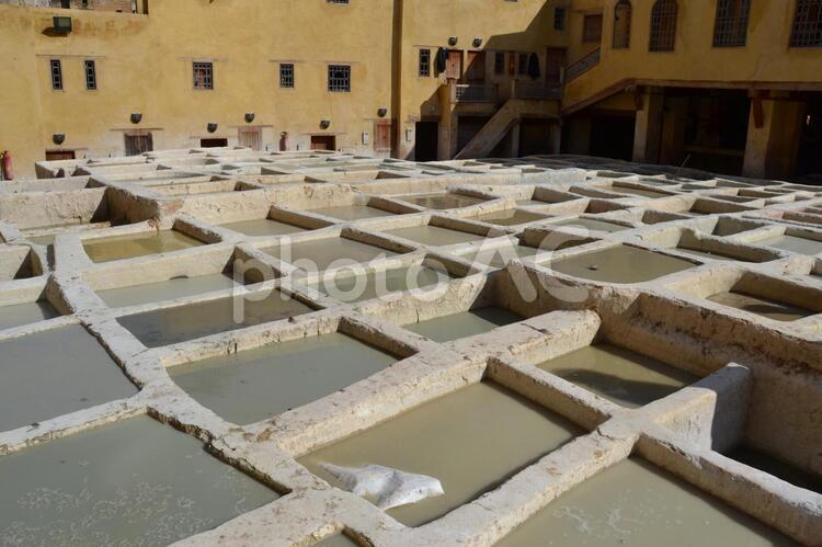 モロッコ　フェズ　なめし皮工場　タンネリ モロッコ,morocco,フェズの写真素材