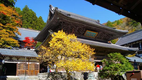 紅葉の永平寺:11 紅葉の永平寺:11 永平寺,紅葉,もみじの写真素材