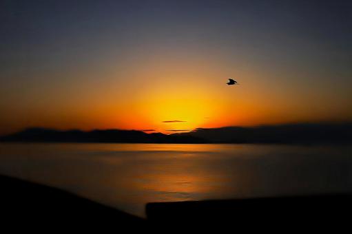 広島県呉市から瀬戸内海の日の出 風景,オレンジ,海の写真素材