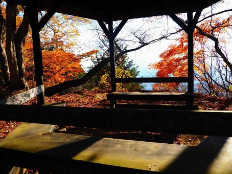 紅葉（嵩山） 紅葉,もみじ,秋の写真素材