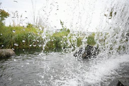 滝の裏側 夏,夏休み,滝の写真素材