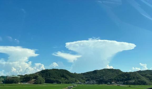 雲 かなとこ雲 雲 かなとこ雲の写真
