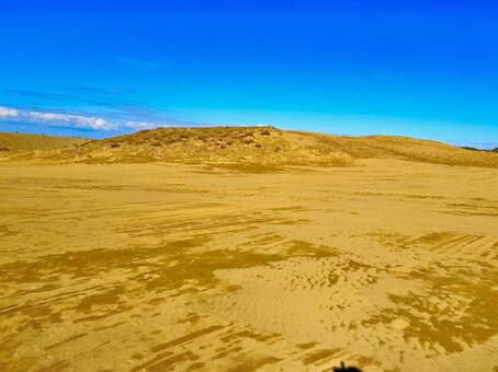 鳥取砂丘 鳥取,鳥取砂丘,鳥取県の写真素材