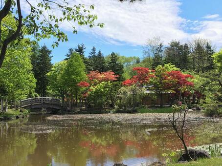 日本庭園3 秋,木,湖の写真素材