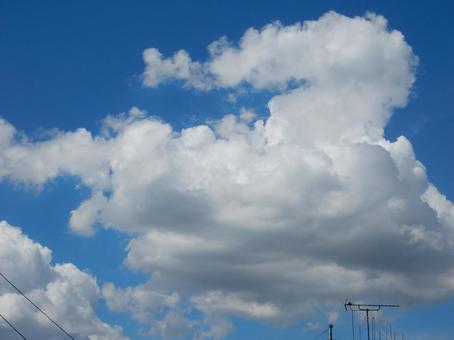 【風景写真】夏空 【風景写真】夏空の写真