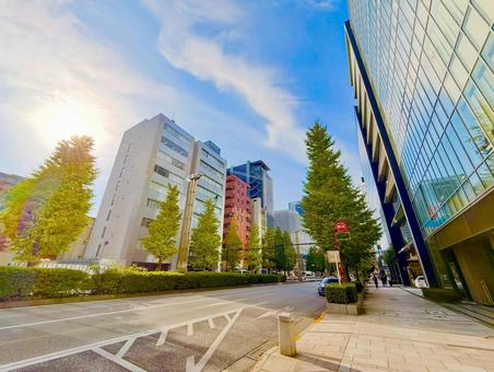 都心のストリートとビジネス街と日差し 青空,空,ブルースカイの写真素材