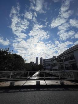 神田川10月:逆光の高層マンション 縦 神田川10月:逆光の高層マンション 縦の写真