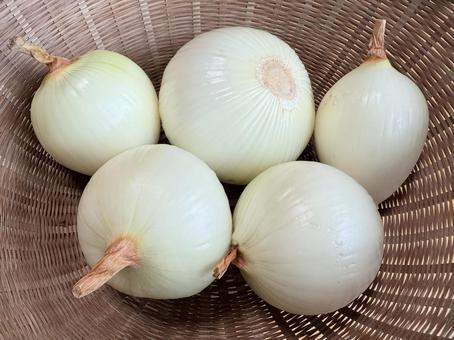 むき玉ねぎ 玉ねぎ,むき玉ねぎ,皮の写真素材