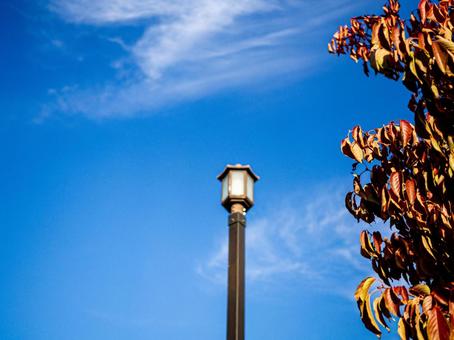 秋の青空と紅葉と街灯の写真