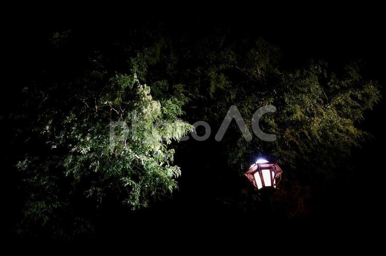 倉敷　美観地区　夜景　イルミネーション 倉敷,美観地区,イルミネーションの写真素材