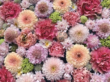 色鮮やかな花手水110 花手水,はなちょうず,手水舎の写真素材