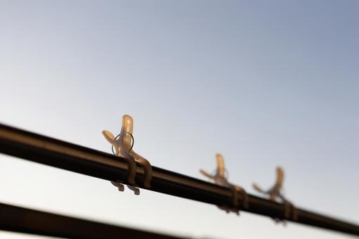 冬の青空と洗濯バサミ 洗濯バサミ,洗濯,物干し竿の写真素材