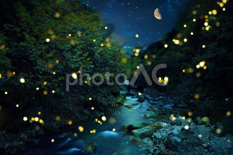 蛍のいる川辺の風景 蛍,ホタル,川の写真素材
