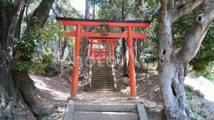 大枝稲荷神社　京都 大枝稲荷神社,京都,大枝稲荷の写真素材