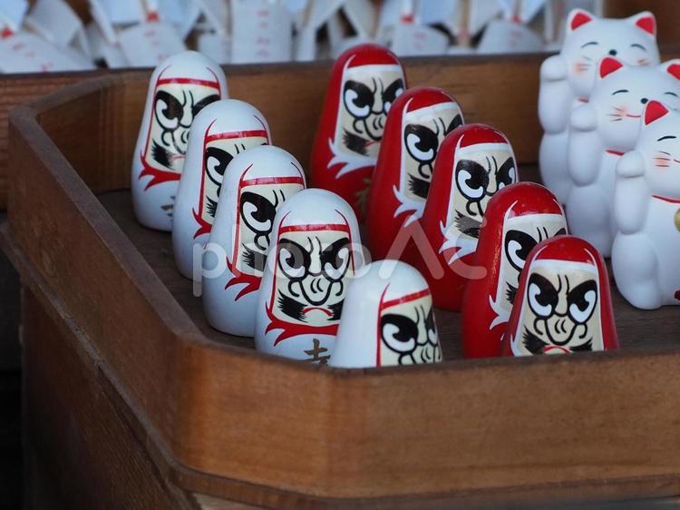 だるまのおみくじ 薬園八幡神社,神社,達磨の写真素材
