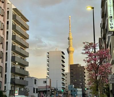 Minamisenju around dawn, JPG Minamisenju around dawn, JPG