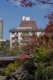 紅葉と街並 紅葉と街並の写真