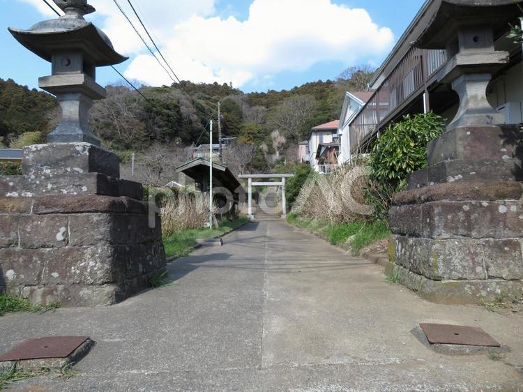 今泉寺と白山神社に続くまっすぐな参道 道,コンクリート,参道の写真素材