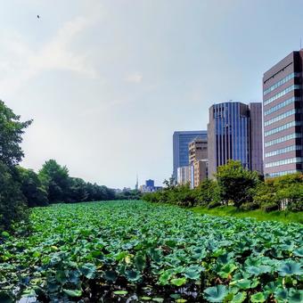 風景 風景の写真