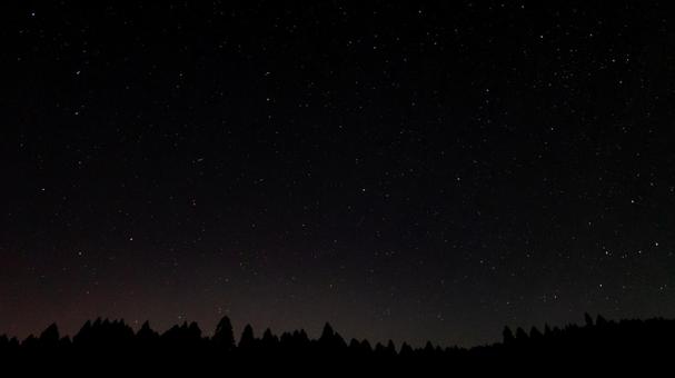 北の空に瞬く星々 北の空に瞬く星々の写真