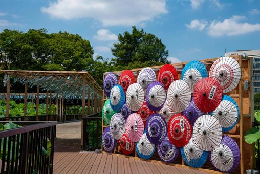 和傘と風鈴（上野公園・不忍池） 風鈴,ふうりん,夏の写真素材