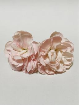 花 ピンク 花 ピンクの写真
