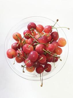 さくらんぼの写真