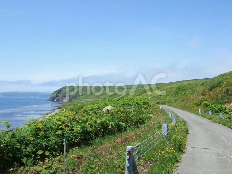北海道道北の焼尻島の風景 北海道,道北,焼尻島の写真素材