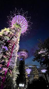 スーパーツリー ガーデンズバイザベイ シンガポール,マリーナベイ,ガーデンズバイザベイの写真素材