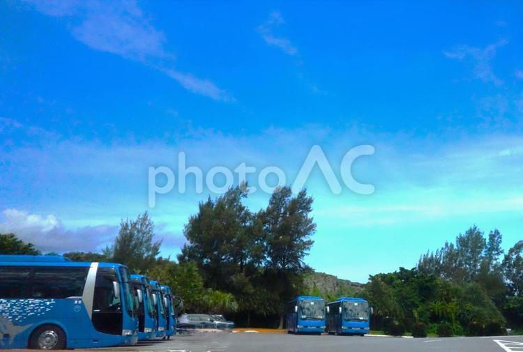南国の大空と観光バス バス,南国,青空の写真素材