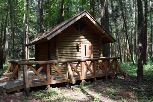 森林内に建つログハウス ログハウス,ログホーム,ログキャビンの写真素材