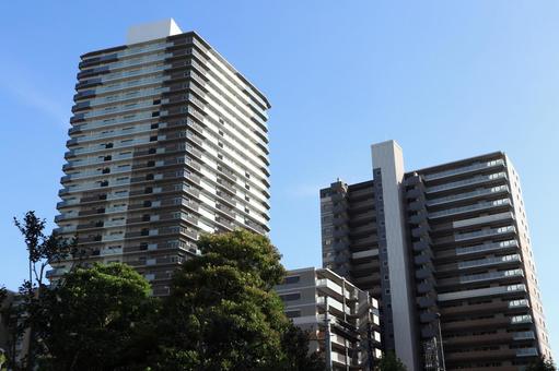 千葉県　柏の葉キャンパスの街並み 柏市,千葉県,柏の葉キャンパスの写真素材