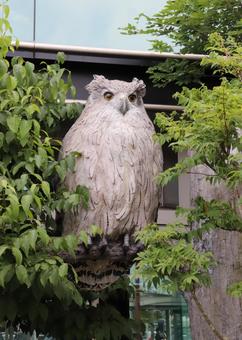 釧路空港 シマフクロウのモニュメント 釧路空港 シマフクロウのモニュメント たんちょう釧路空港,シマフクロウ,モニュメントの写真素材